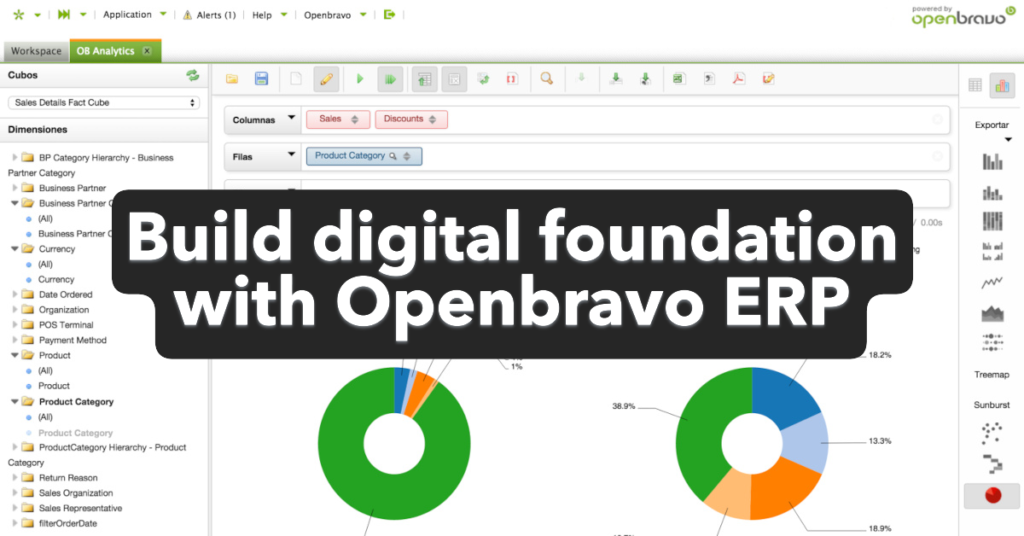 Wirabumi Software Openbravo implementation service